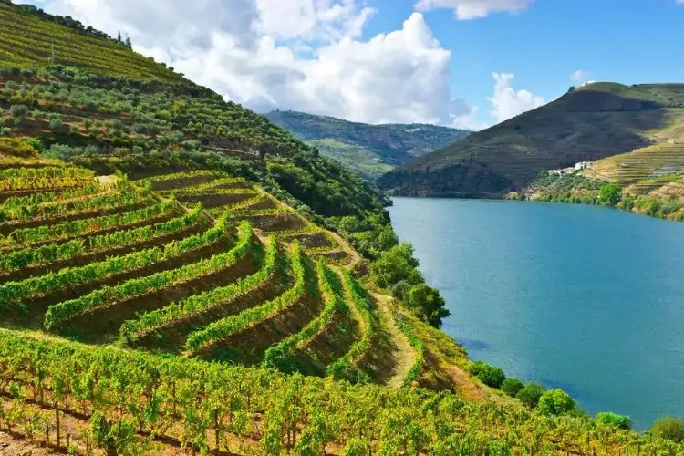 Rio Douro