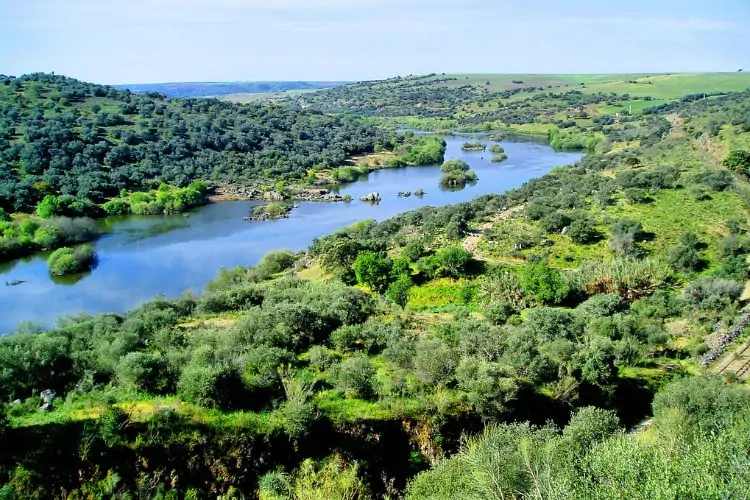 Rio Guadiana
